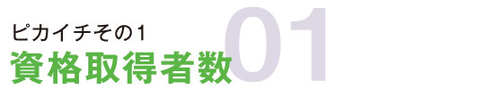 ピカイチその1資格取得者数